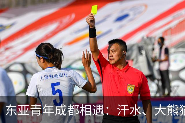 东亚青年成都相遇：汗水、大熊猫与友谊