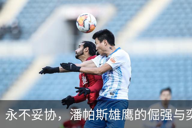 永不妥协，潘帕斯雄鹰的倔强与奕境的长期主义